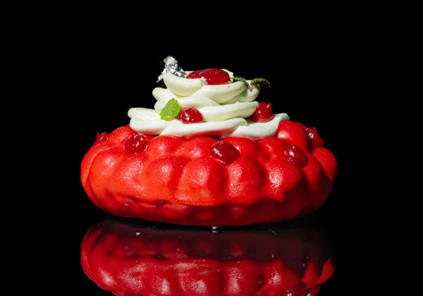 MDŽ dort od 6. do 8. 3.